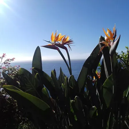 Do Sol * Arco da Calheta (Madeira)