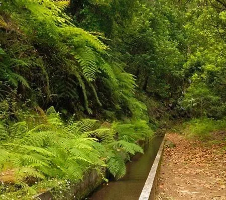 Do Sol Appartamento Arco da Calheta (Madeira)