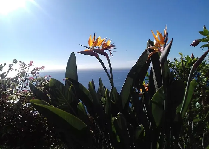 Do Sol * Arco da Calheta (Madeira)